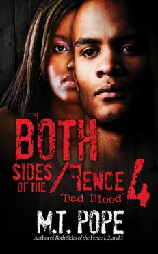 both sides of the fence 4 book cover image