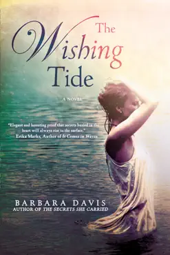 the wishing tide book cover image