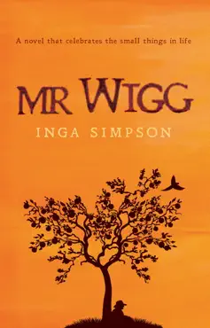 mr wigg book cover image