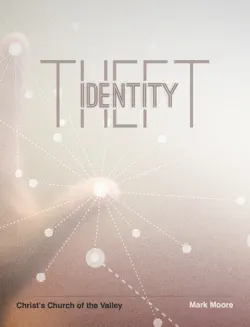 identity theft book cover image