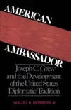 American Ambassador synopsis, comments