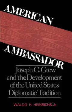 american ambassador book cover image