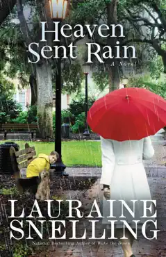 heaven sent rain book cover image