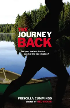 the journey back book cover image