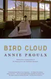 Bird Cloud synopsis, comments