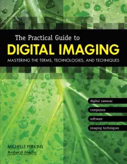 the practical guide to digital imaging book cover image
