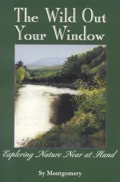 the wild out your window book cover image
