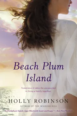 beach plum island book cover image