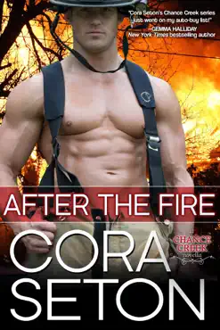 after the fire imagen de la portada del libro