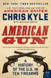 American Gun synopsis, comments