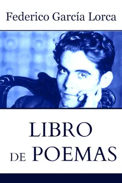 libro de poemas imagen de la portada del libro