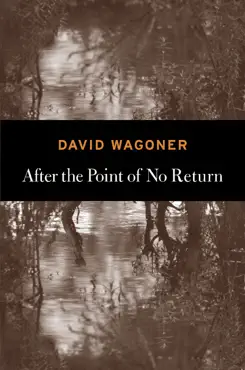 after the point of no return imagen de la portada del libro