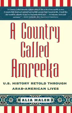 a country called amreeka book cover image