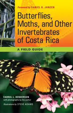 butterflies, moths, and other invertebrates of costa rica book cover image