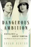 Dangerous Ambition synopsis, comments
