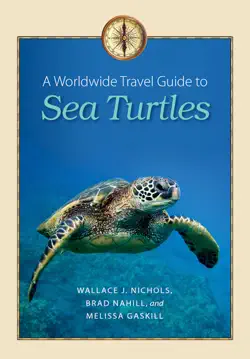 a worldwide travel guide to sea turtles book cover image