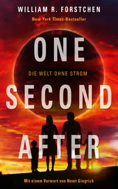 one second after - die welt ohne strom book cover image