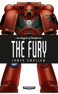 the fury book cover image