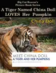 China Doll Loves Pumpkins synopsis, comments