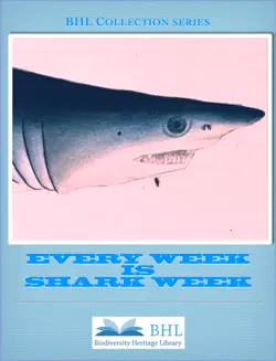 every week is shark week imagen de la portada del libro