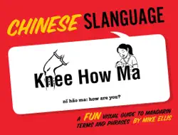 chinese slanguage book cover image