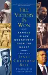 Till Victory Is Won synopsis, comments
