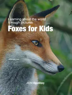 foxes for kids book cover image