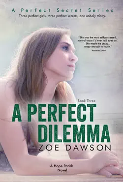 a perfect dilemma book cover image
