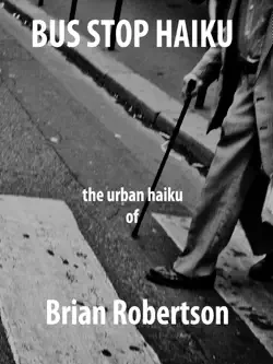 bus stop haiku book cover image
