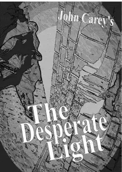 the desperate light book cover image