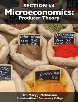 microeconomics: producer theory book cover image