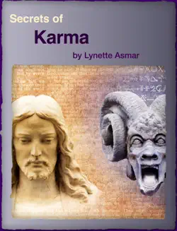 secrets of karma book cover image