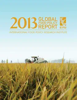 2013 global food policy report book cover image