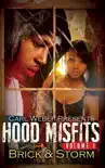 Hood Misfits Volume 1 synopsis, comments
