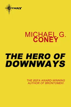 the hero of downways book cover image