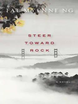 steer toward rock book cover image