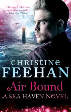 air bound imagen de la portada del libro
