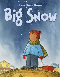 big snow book cover image