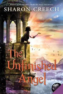 the unfinished angel book cover image