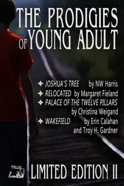 prodigies of young adult book cover image