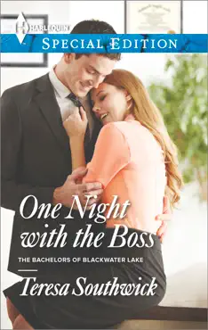 one night with the boss book cover image
