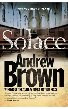solace book cover image