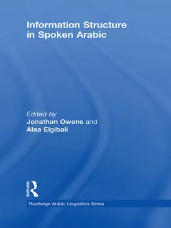 information structure in spoken arabic book cover image
