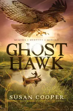 ghost hawk imagen de la portada del libro