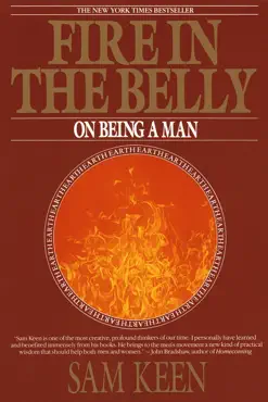 fire in the belly book cover image