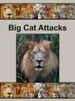 Big Cat Attacks synopsis, comments