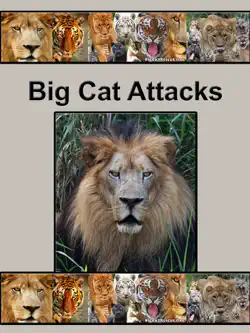 big cat attacks book cover image
