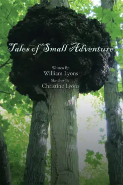 tales of small adventure book cover image