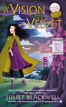 a vision in velvet book cover image