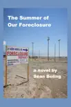 The Summer of Our Foreclosure synopsis, comments